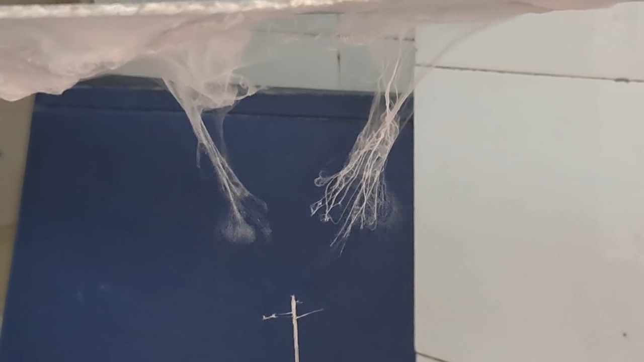 Electrospinning: Solutions of Polystyrene and Polyvinylidene Difluoride in Dimethylformamide